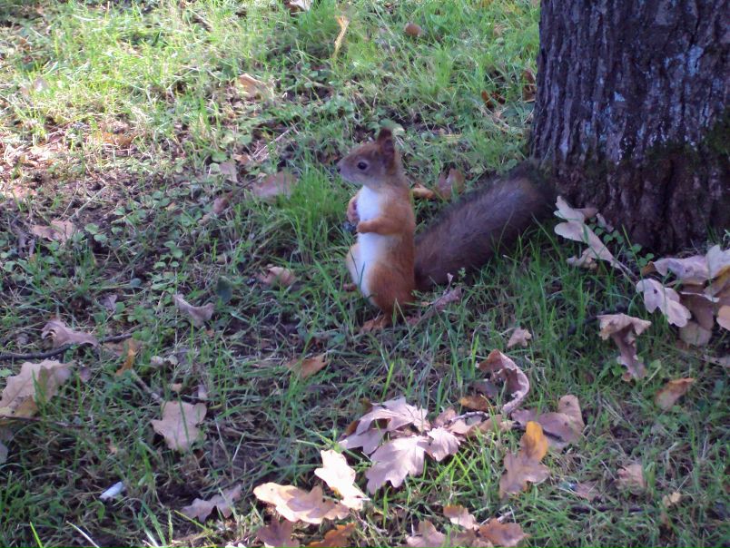 Дмитрий Ширяев фото №24