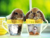 Фотография Съедобные Букеты Балаково Светланы Церюпа Вкусные