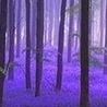 Віола Кравчук фотография #32 (источник - https://vk.com/id150959655)
