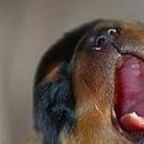 Каріно4ка♥ Шрамко фотография #28 (источник - https://vk.com/id147791993)