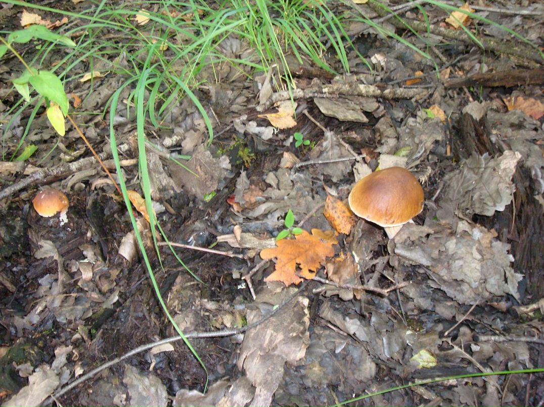 Эмма Кубло фотография #44