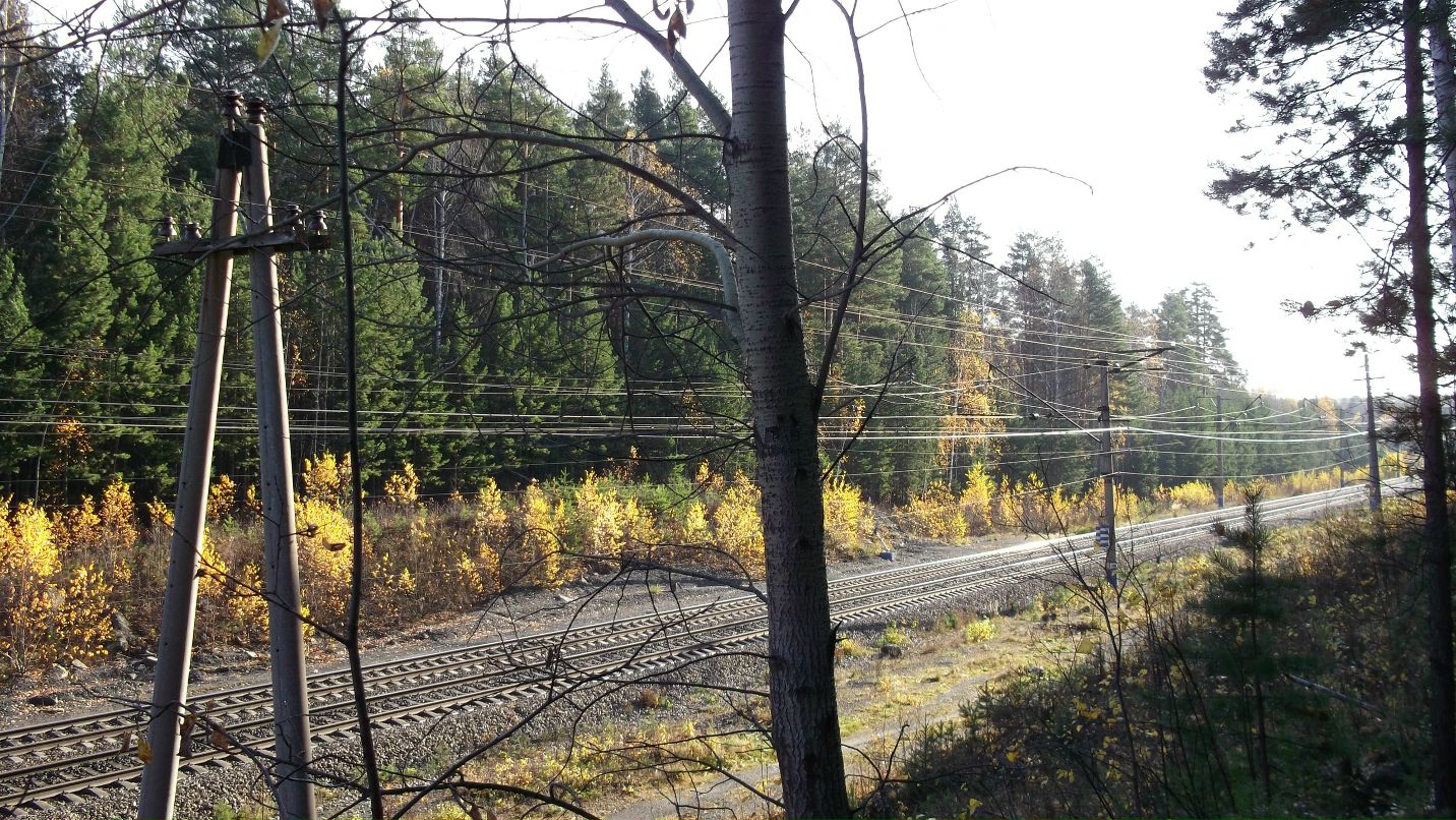 Александр Бабенко фотография #25