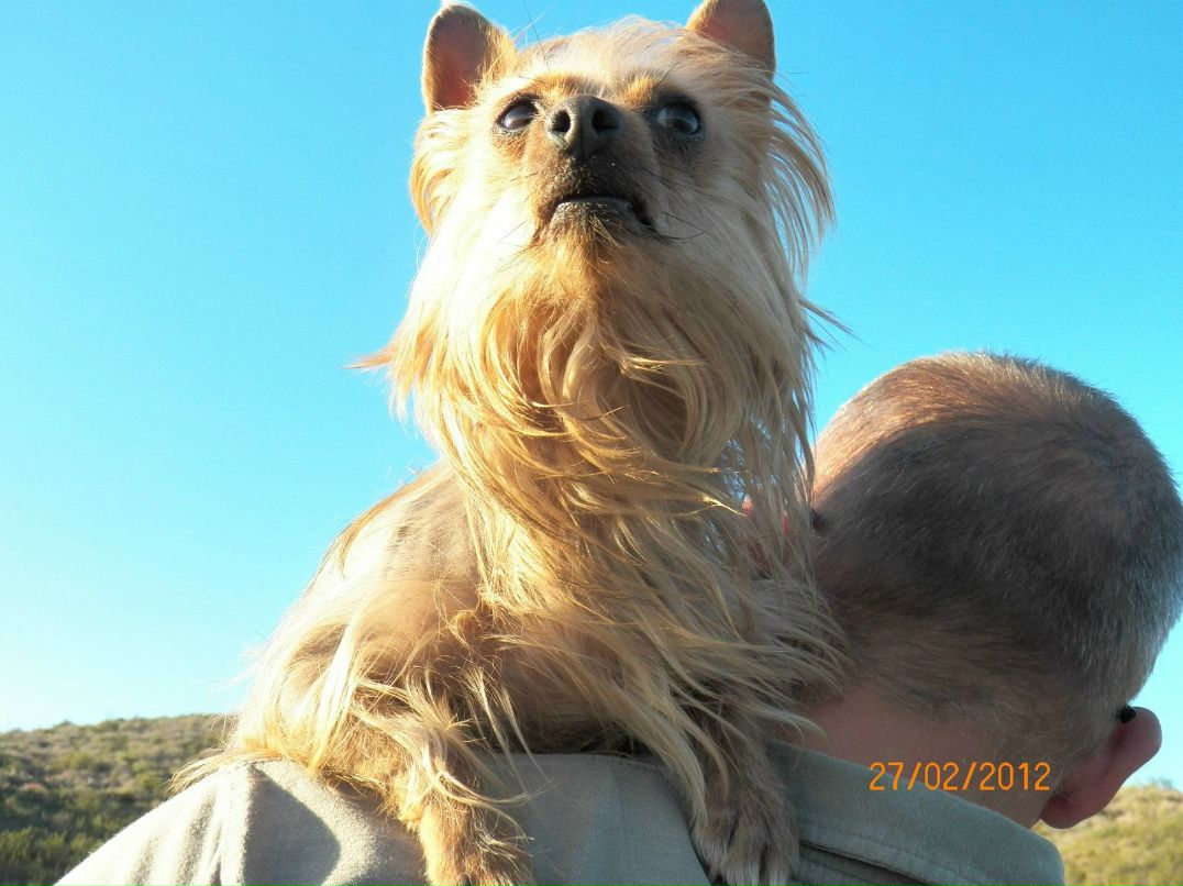 Andre Sha фотография #13