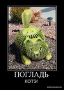 Толян Купрієнко фотография #31 (источник - https://vk.com/id136470026)