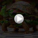 Сергій Попюк фотография #25 (источник - https://vk.com/id166284382)