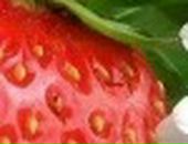 Яна Excale фотография #40 (источник - https://vk.com/id727315)