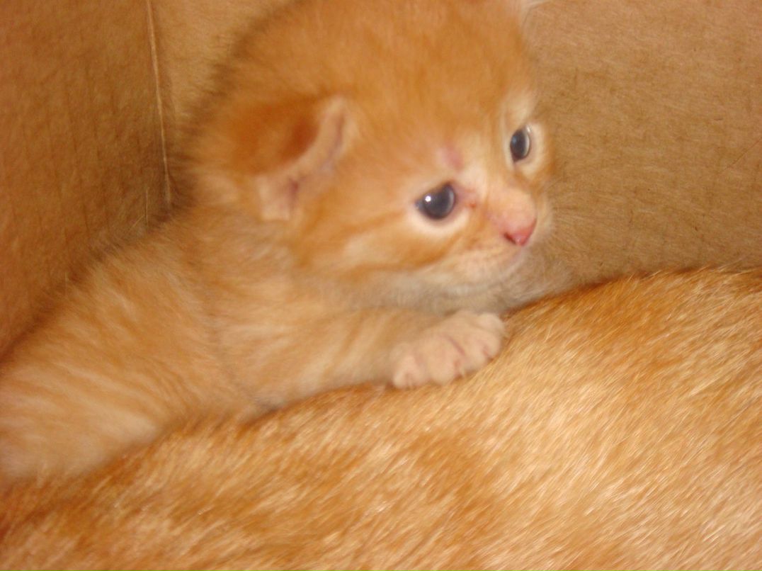 Оля Хапцова фотография #42