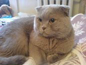 Фотография Семраги Анастасии