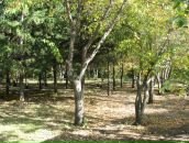 Фотография Андреевой Маргариты