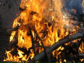 Фотография Ариновича Игоря