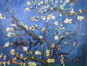 Фотография Собиной Люсии