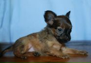 Фотография Филипповой Светланы