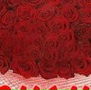 Ліля Гуцуляк фотография #24 (источник - https://vk.com/id97013032)