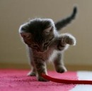 Діана Береза фотография #35 (источник - https://vk.com/id157656163)