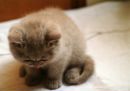Фотография Даниленко Марины