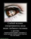 Юлія Поліщук фотография #44 (источник - https://vk.com/id85544435)