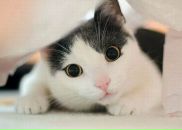 Фотография Дубов Игорь