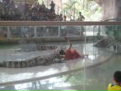 Клевый Парень фотография #17 (источник - https://vk.com/id391001)