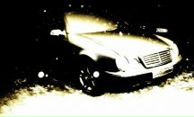 Фотография Васильевой Евгении