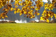 Антон Череватыи фотография #41 (источник - https://vk.com/id1054601)