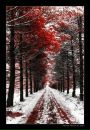 Lady Ţepeş фотография #7 (источник - https://vk.com/id94914146)