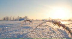 Михаил Яковлев фотография #30 (источник - https://vk.com/id2403530)