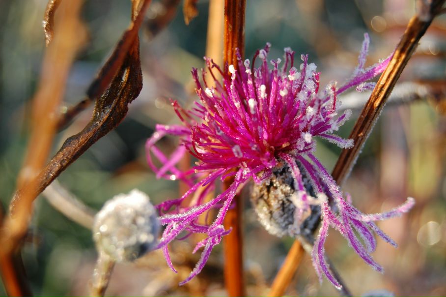 Михаил Яковлев фото №16