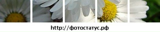 Іра Кулик фотография #34 (источник - https://vk.com/id19033940)