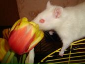 Фотография Чумичевой Алены