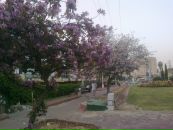 Ігор Теслюк фотография #29 (источник - https://vk.com/id11538371)