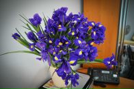 Фотография Маланчук Александры