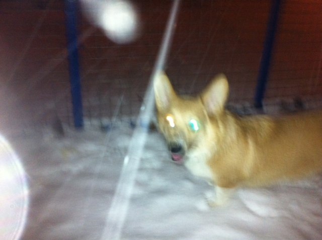 Victor Chu фотография #18