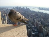 Фотография Соловья Павла