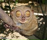 Фотография Беглецова Максима