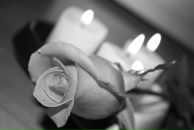 Фотография Гимрановой Эльвиры