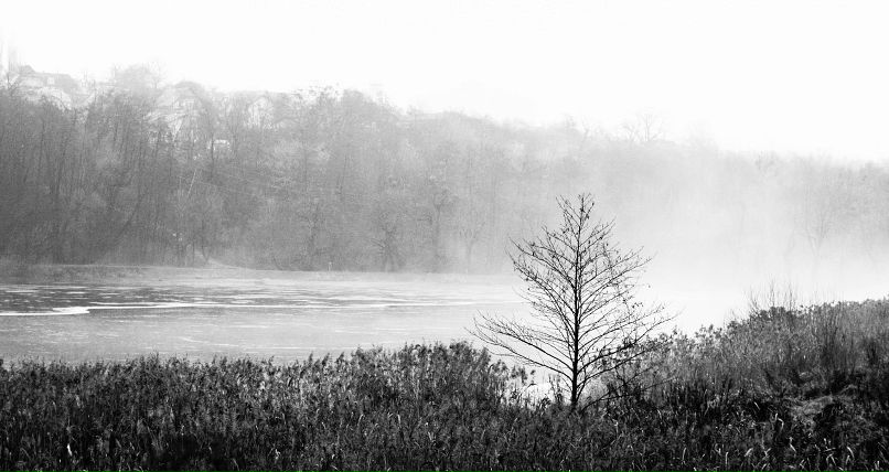 Andromeda Messier фотография #22