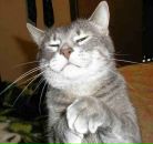 Фотография Лобкова Александра