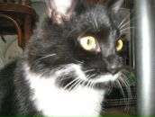 Фотография Бондаревой Надежды