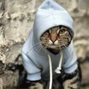 Фотография Егорова Константина