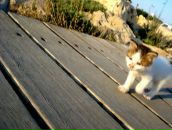 Фотография Михайловой Елены