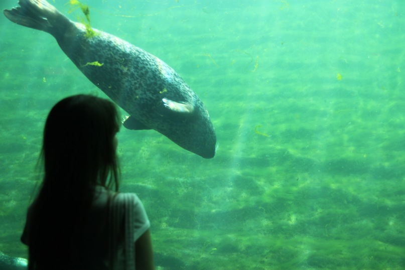 Даша Гасимова фотография #49