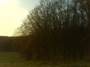 Танюфка Йолтухівська фотография #27 (источник - https://vk.com/id78222279)