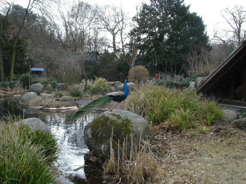 Ирина Лукс фотография #49