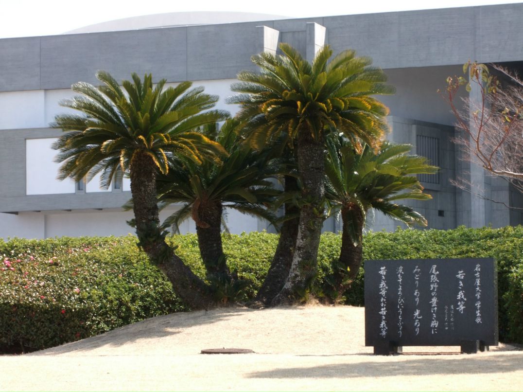 Елена Мороз фотография #25