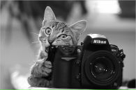 Фотография Калиниченко Алины