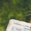 Іван Ткачук фотография #27 (источник - https://vk.com/id133177131)