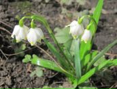 Віктор Бевза фотография #19 (источник - https://vk.com/id71881935)