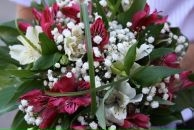 Фотография Сосницкой Полишки