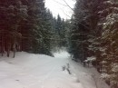 Віка Стефанюк фотография #48 (источник - https://vk.com/id71154160)