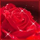 Сабріна Манько фотография #3 (источник - https://vk.com/id123726423)